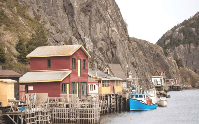 houses lined against water in newfoundland
