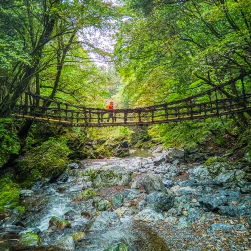 12 day shikoku itinerary featured