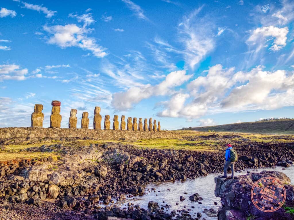 15 moai from behind at ahu tongariki