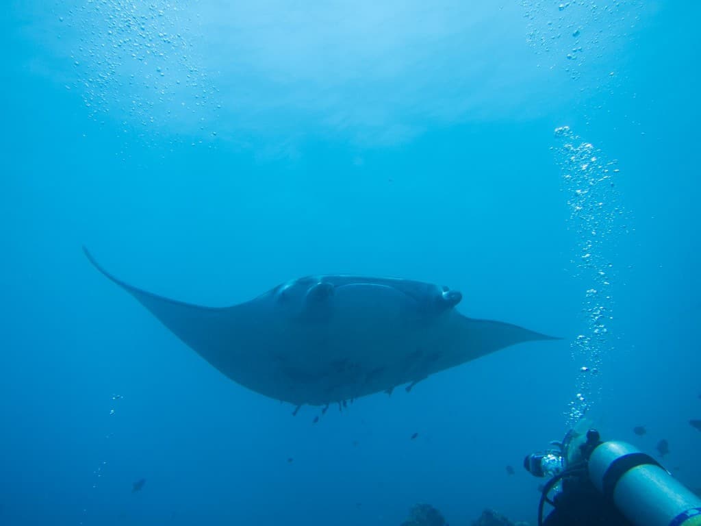 Conrad Maldives Rangali Island