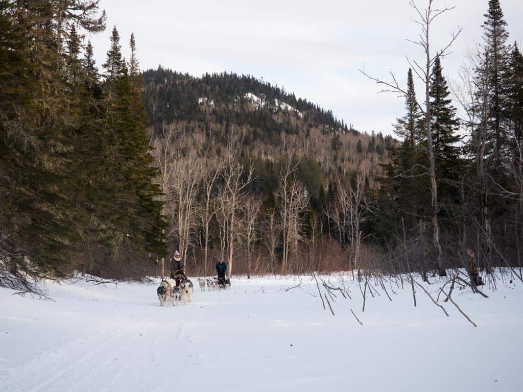 Dogsledding Landscape
