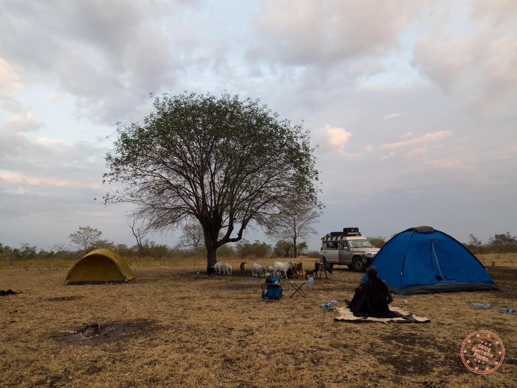 Mursi Tribe Campsite