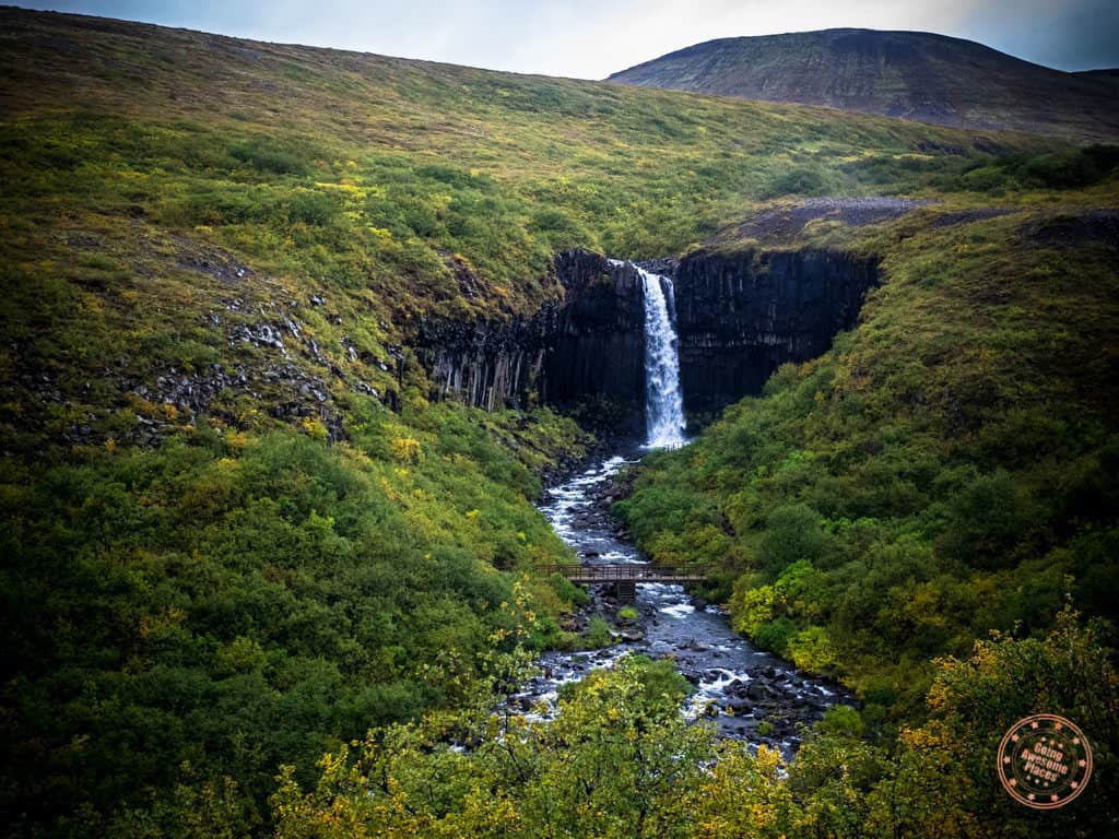 svartifoss viewed from trail for iceland in 8 days