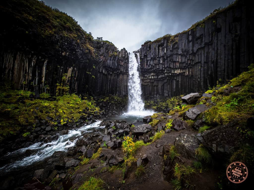 Svartifoss waterfall in Iceland upclose
