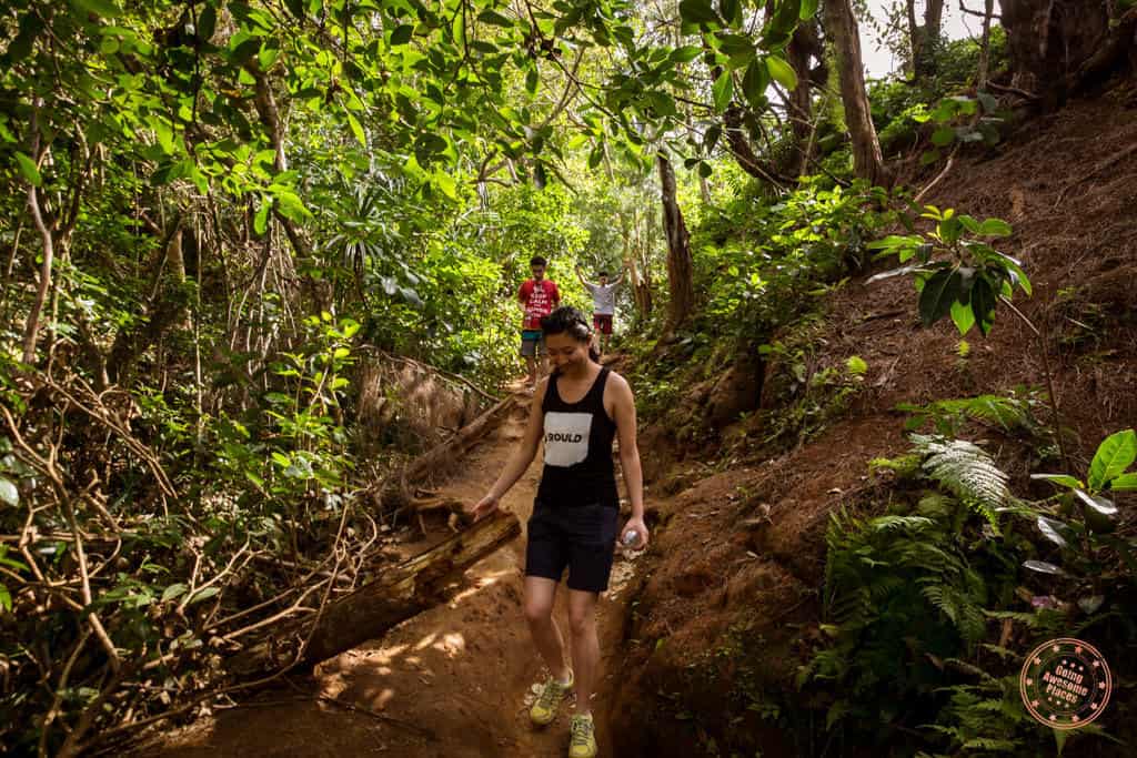 hiking down to queens bath in kauai hawaii and when is the best time to buy travel insurance