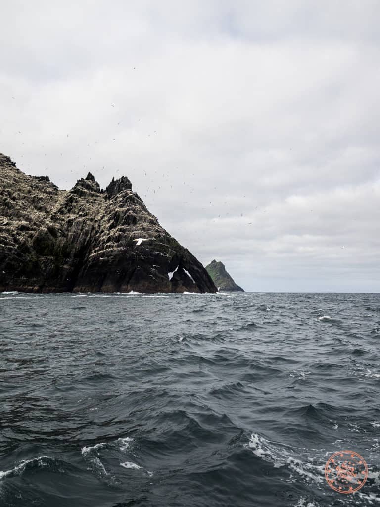 The Birds Atop Little Skellig