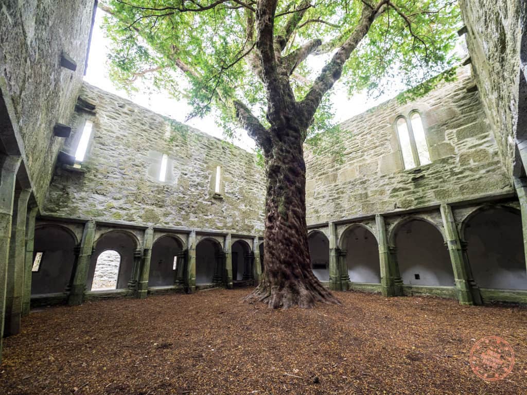 Inside the Elven-Like Courtyard of Muckross Abbey in Killarney National Park
