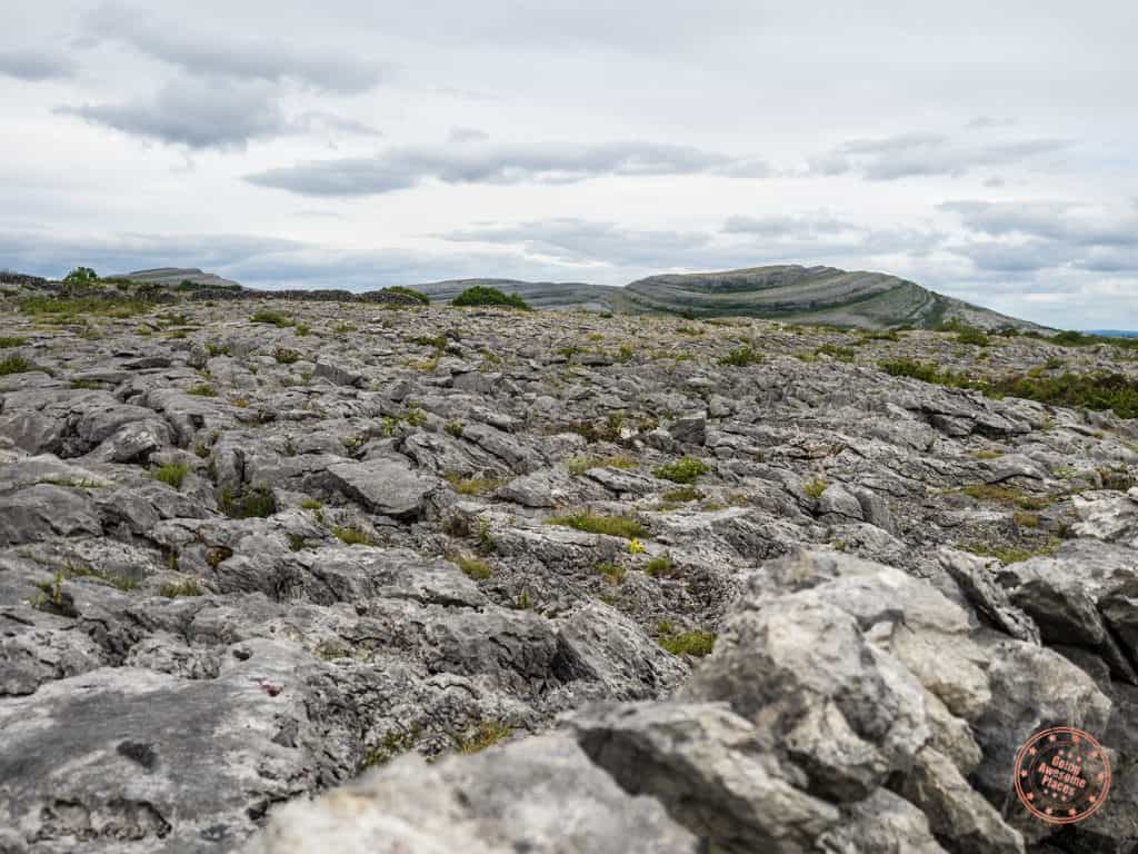 Rocky landscape of Burren National Park in Ireland