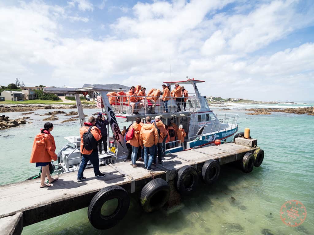 boarding the marine dynamics slashfin for shark cage diving in gaansbai