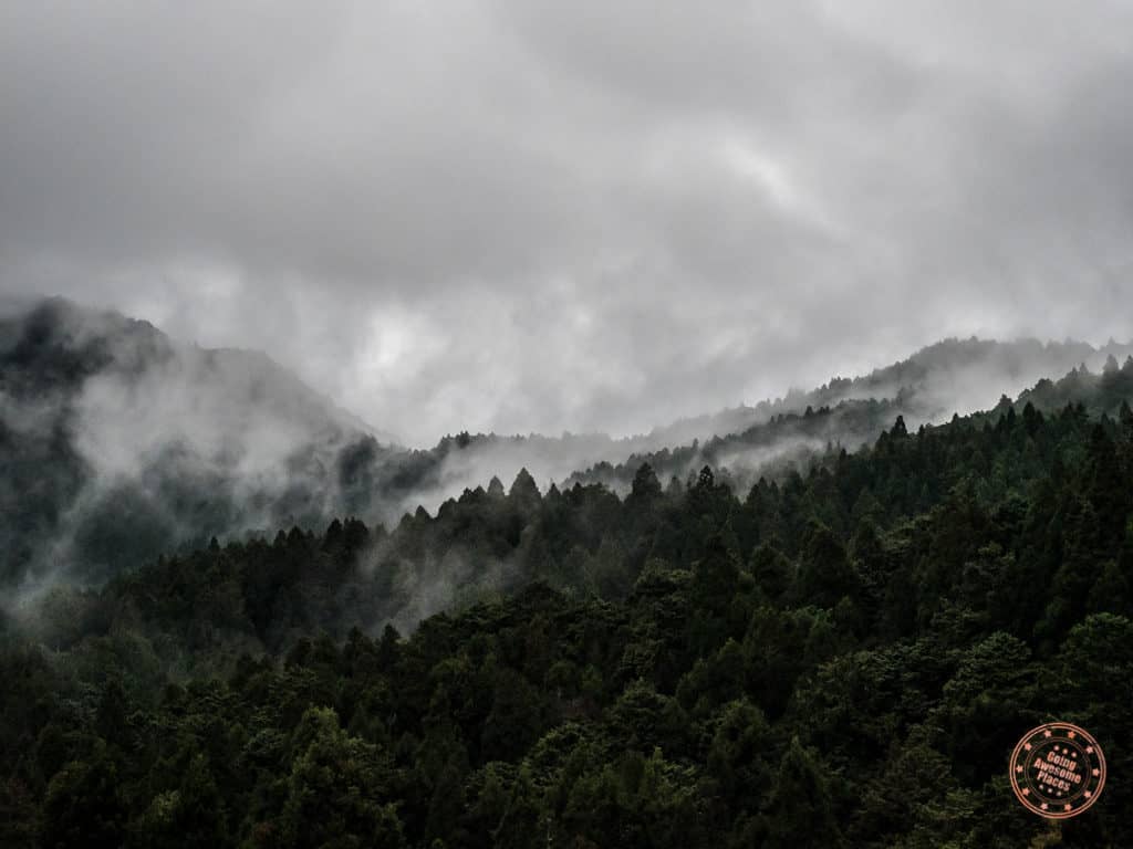 Watching Clouds Roll Over Trees At Alishan Observation Deck