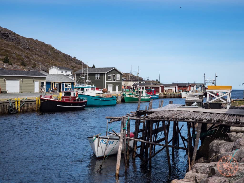 colourful fishing boats of petty harbour