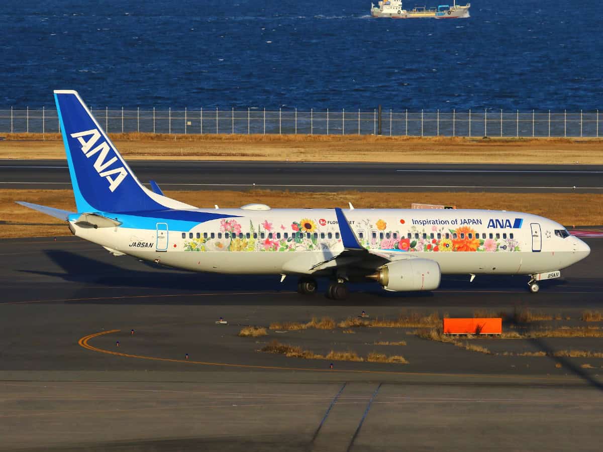 ana airplane with flowers painted on side flight to tohoku