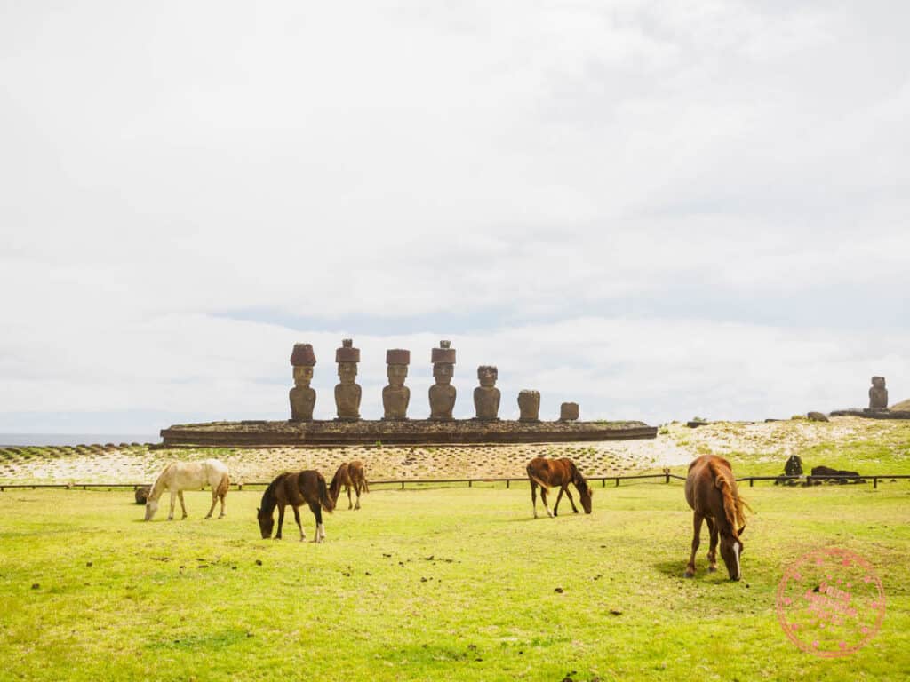 anakena horses in front of ahu nau nau