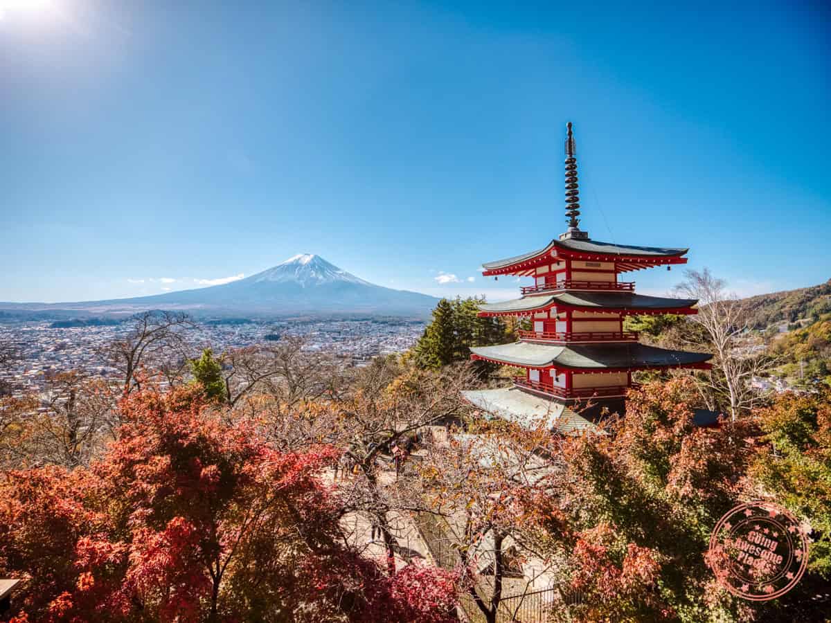 arakurayama sengen park chureito pagoda with autumn foliage