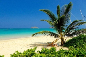 beautiful guest house near kailua beach