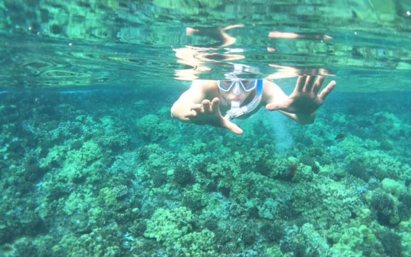 best snorkeling in maui featured