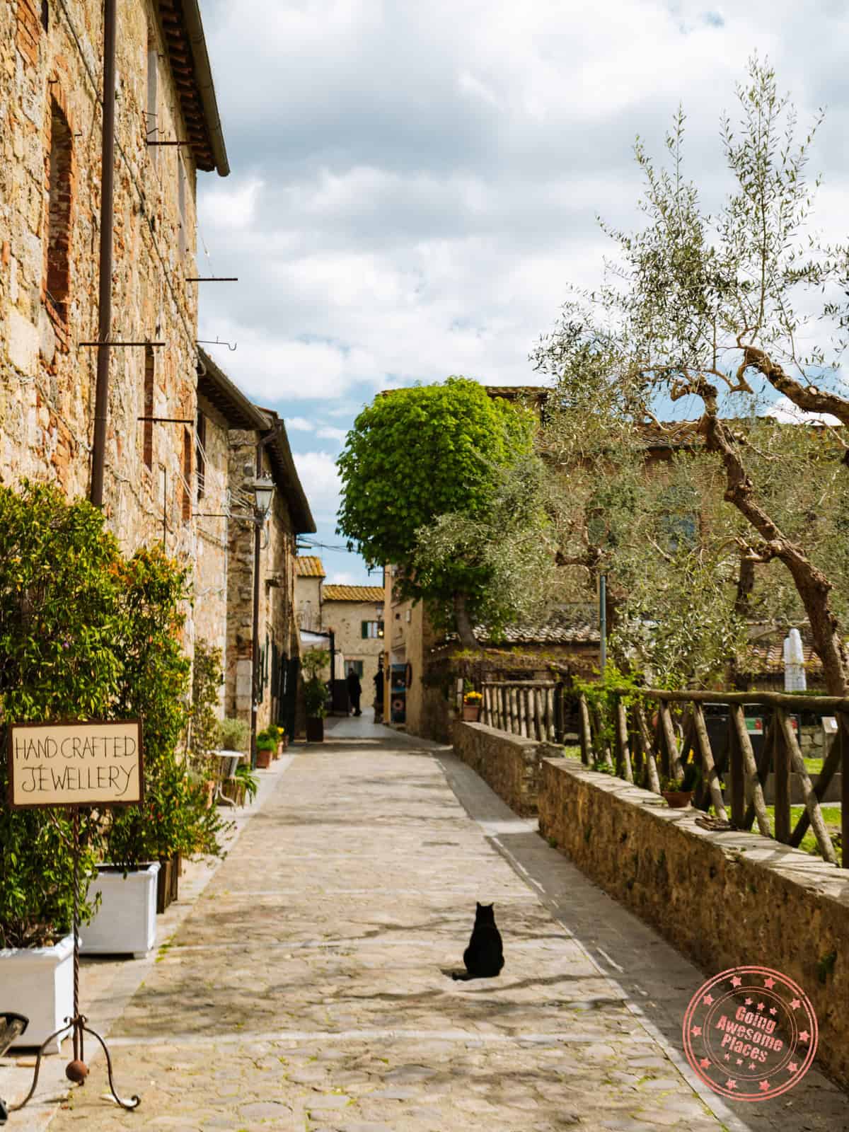 black cat in quaint monteriggioni