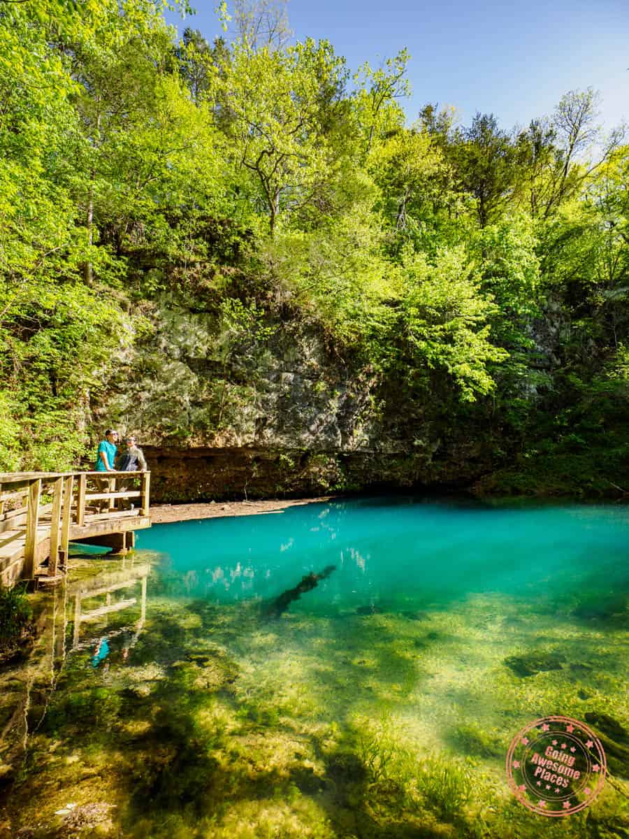 blue spring in the ozarks of missouri