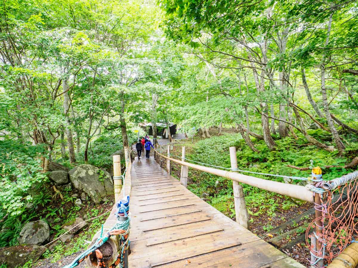 bridge to get to the public kumanoyu onsen