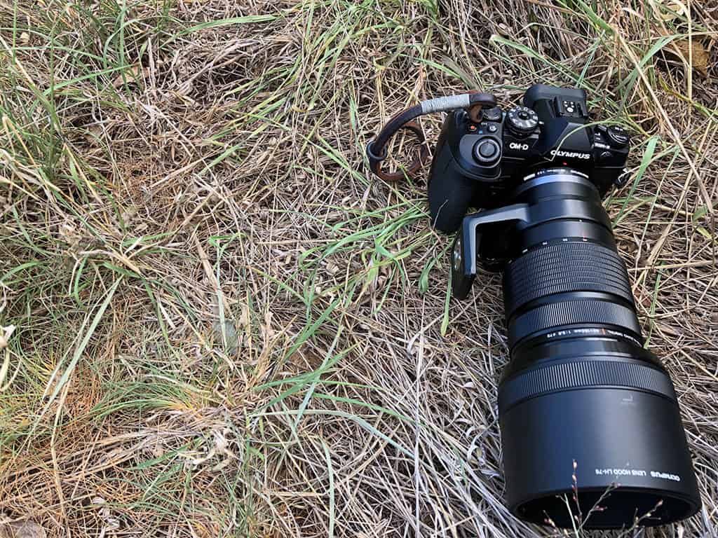 olympus omd em1 mk2 camera for safari in south africa travel tips