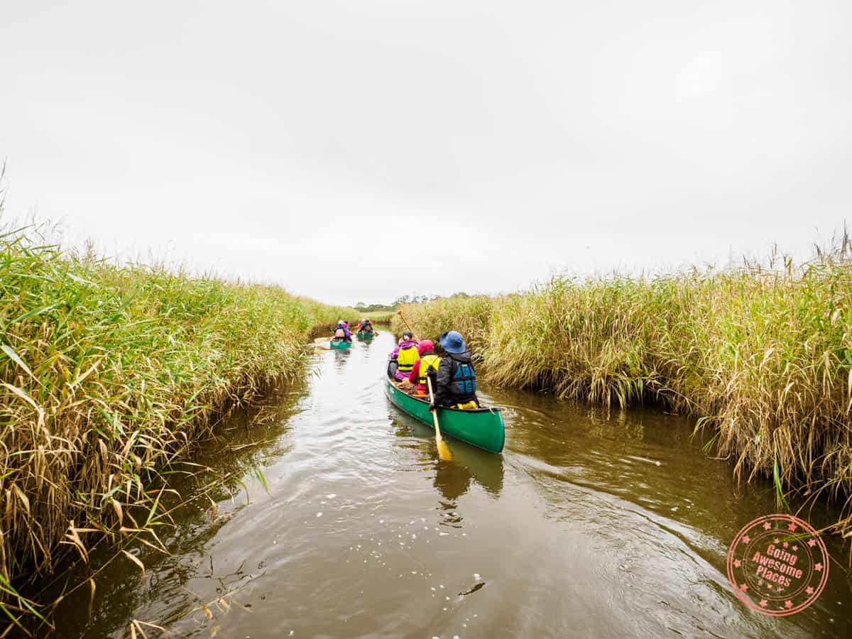 canoe narrow channel of biwase river