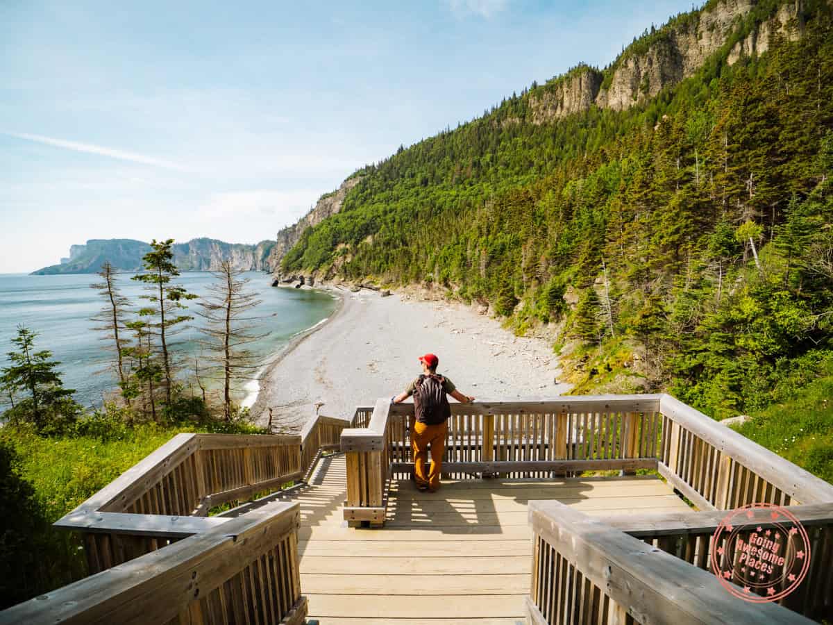 cap bon ami staircase at forillon national park