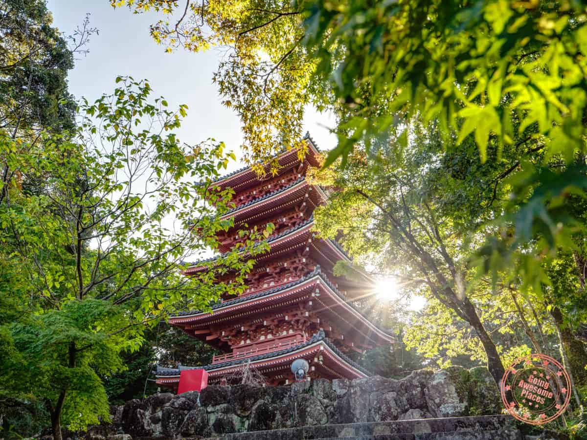 chikurin-ji-temple red pagoda with sun burst behind the foliage