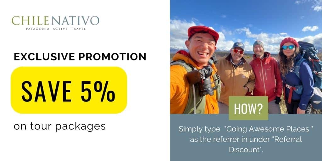 chile nativo patagonia discount and promotion
