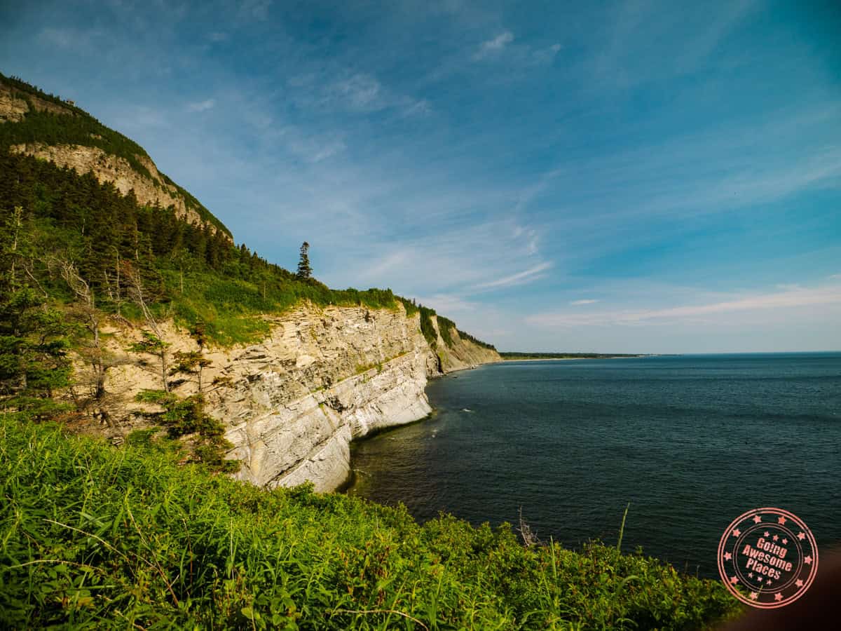 cliffs of cap bon ami in gaspesie