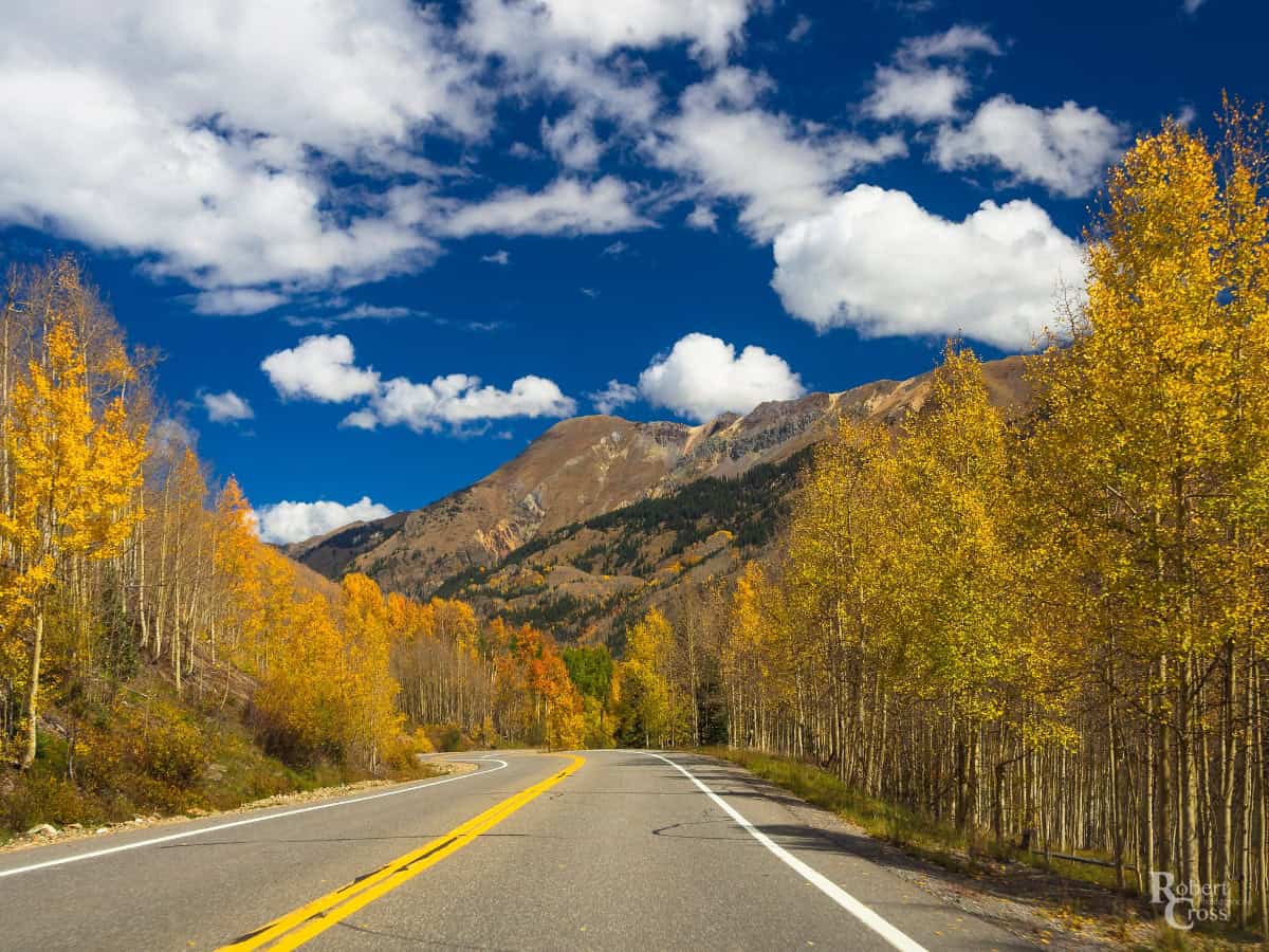 highway lined by fall colored trees with mountain in distance in colorado
