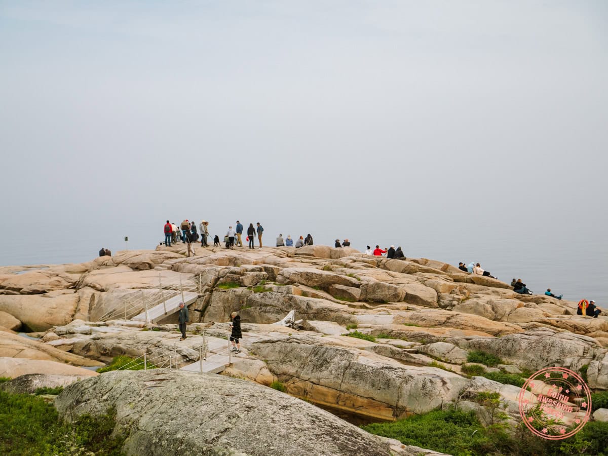 crowd waiting for whales at cap de bon desir