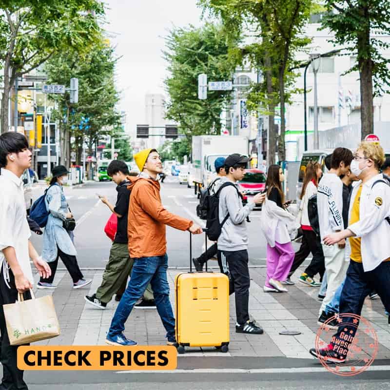 db ramverk luggage medium check-in size in parhelion orange