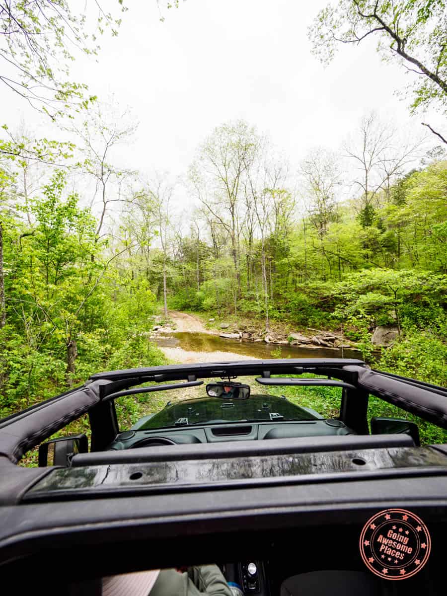 dogwood canyon offroad logging road in wildlife tour