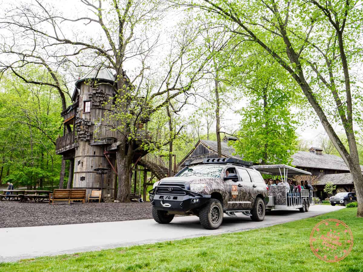 dogwood canyon wildlife tram tour