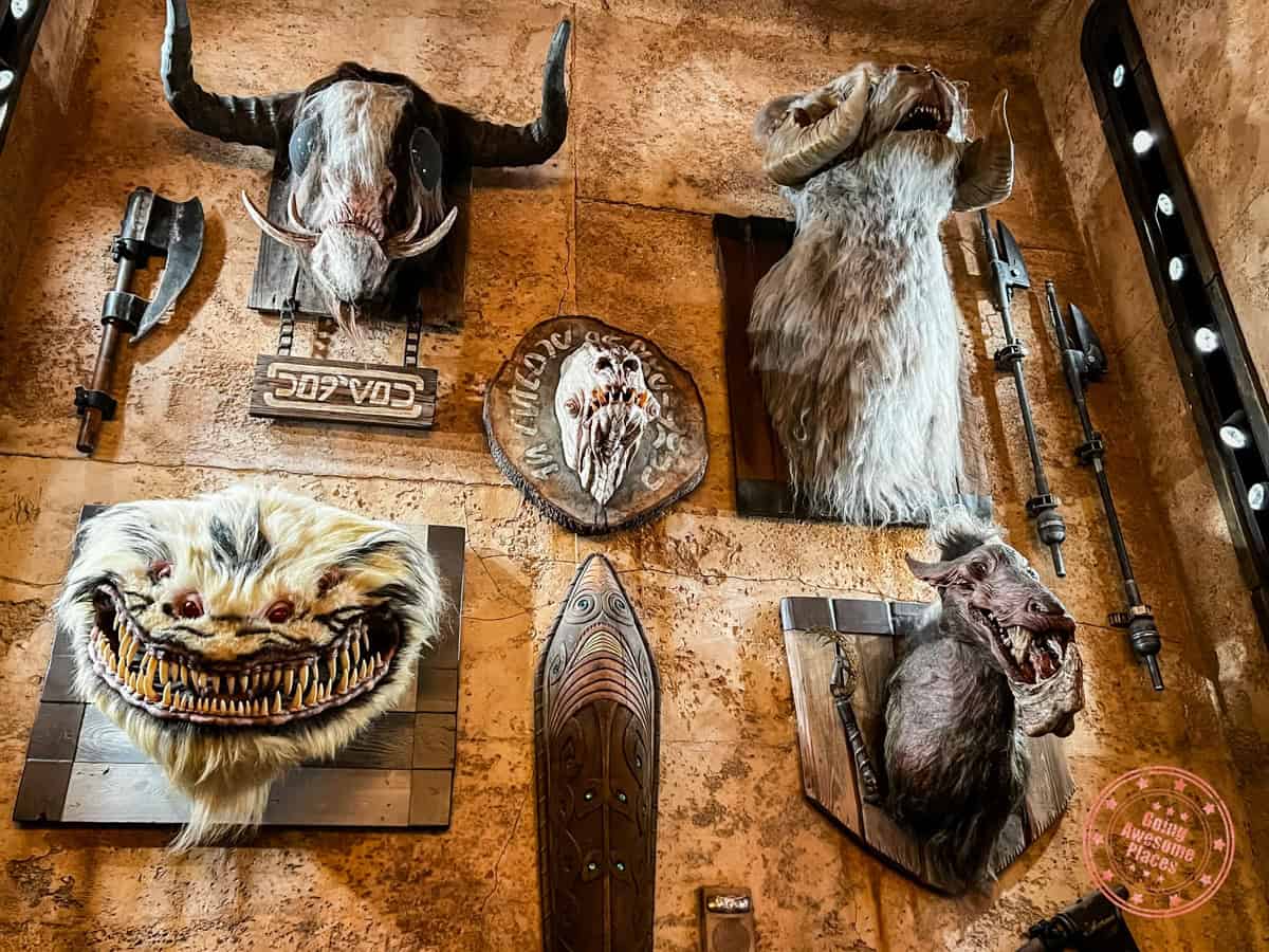 dok ondar's den of antiquities creature taxidermy on the wall