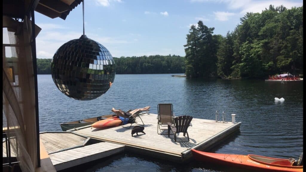 dragonfly on high lake cottage in muskoka dock