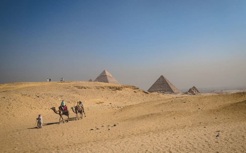 the great pyramids with two camels in view