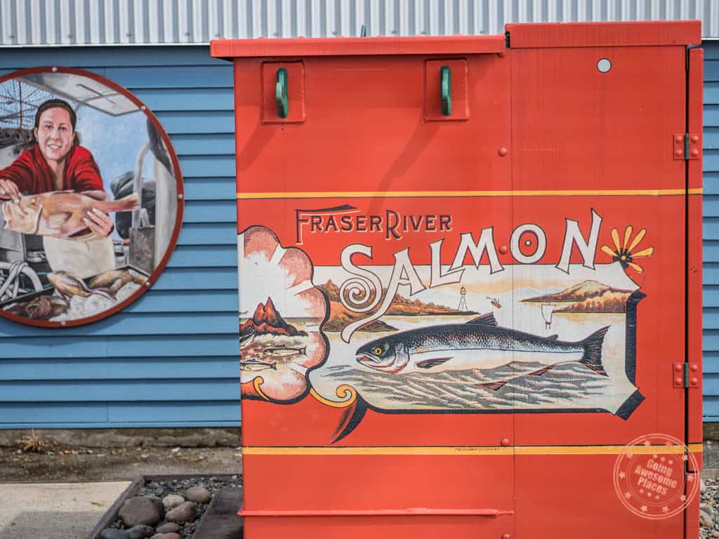 fraser river salmon sign in steveston richmond