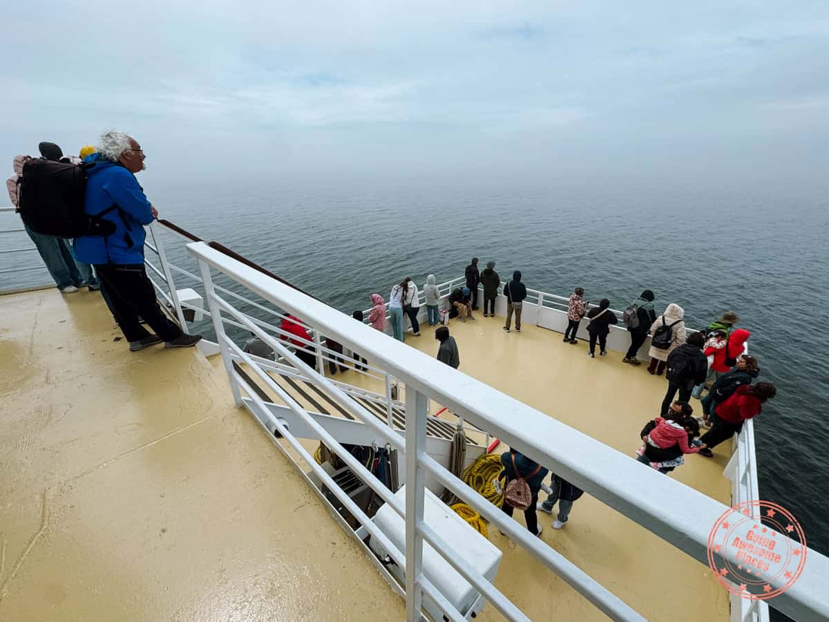 front of the lower deck on the croisiers aml whale watching cruise