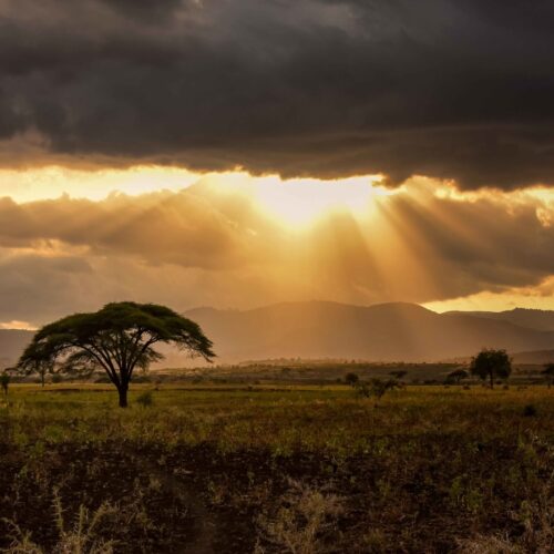 sun shining through clouds down on tree in omo valley