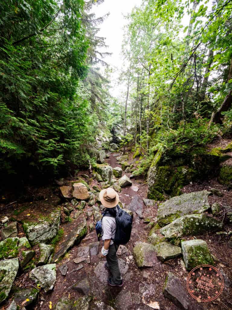 hike down to agawa rock pictographs downhill