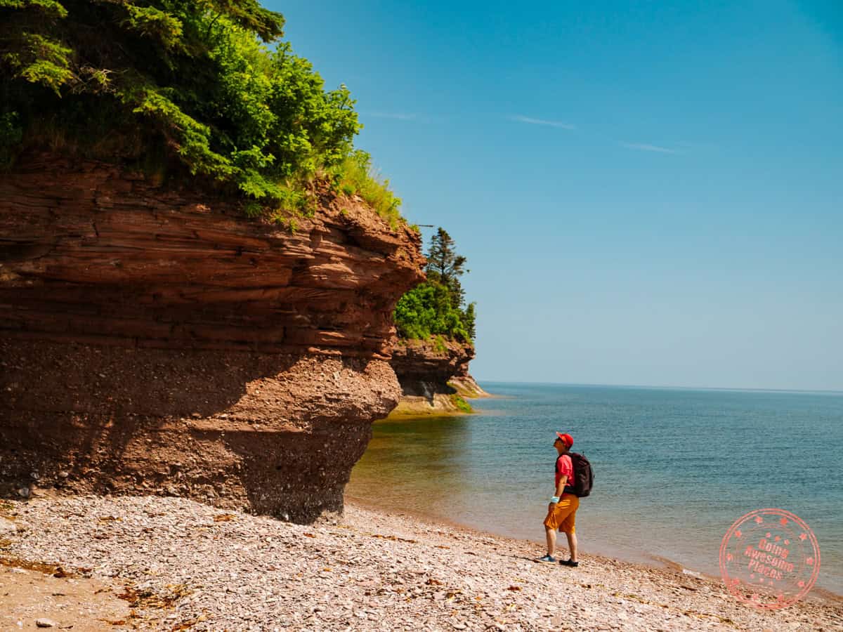 man standing in front of red rock cliffs of hope beach in southern gaspesie quebec maritime