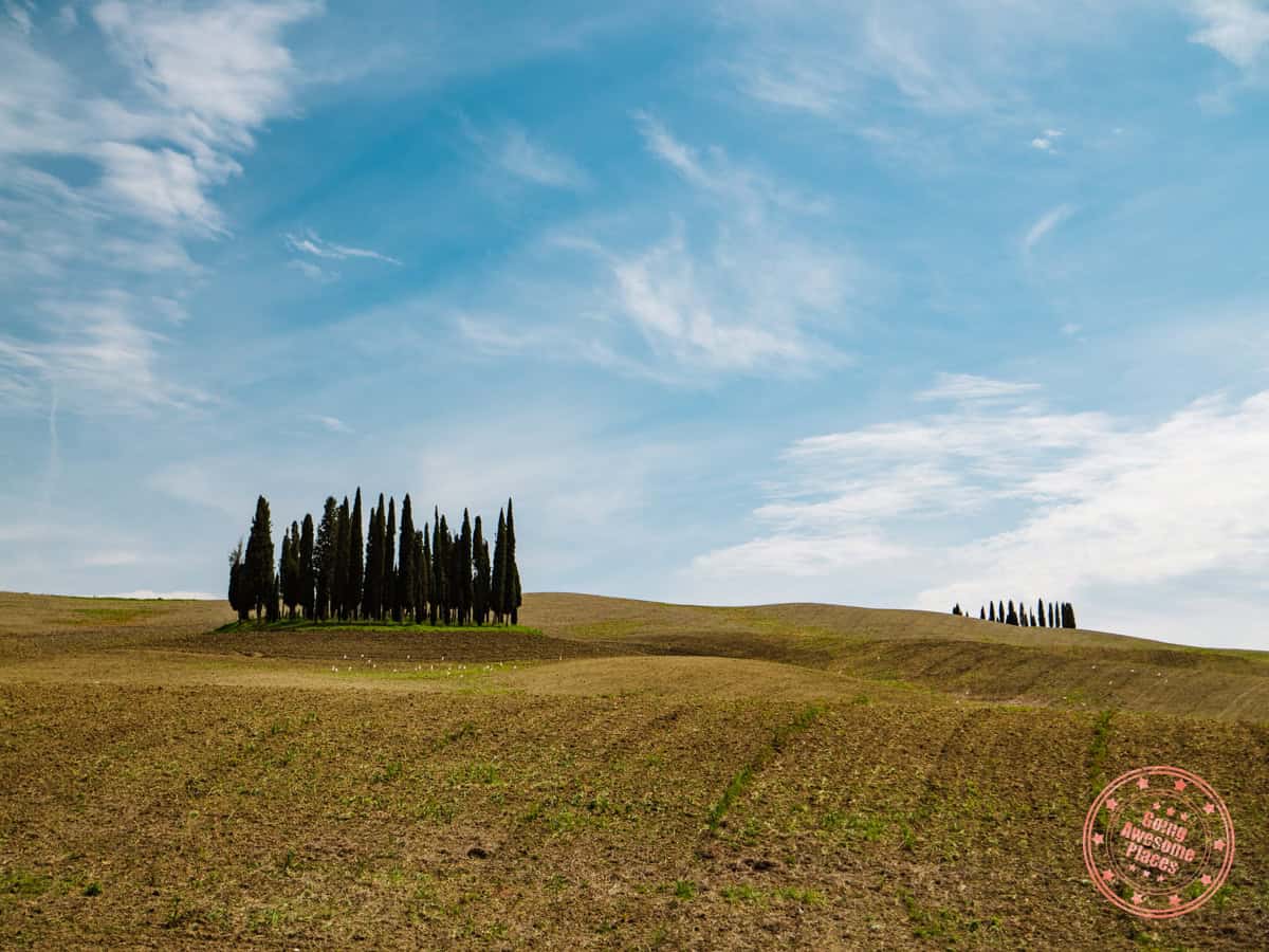 famous photography location at cipressi di san quirico