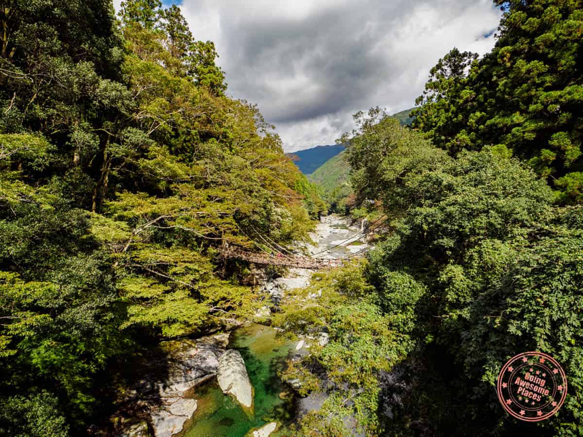iya no kuzurabashi vine bridge in iya valley