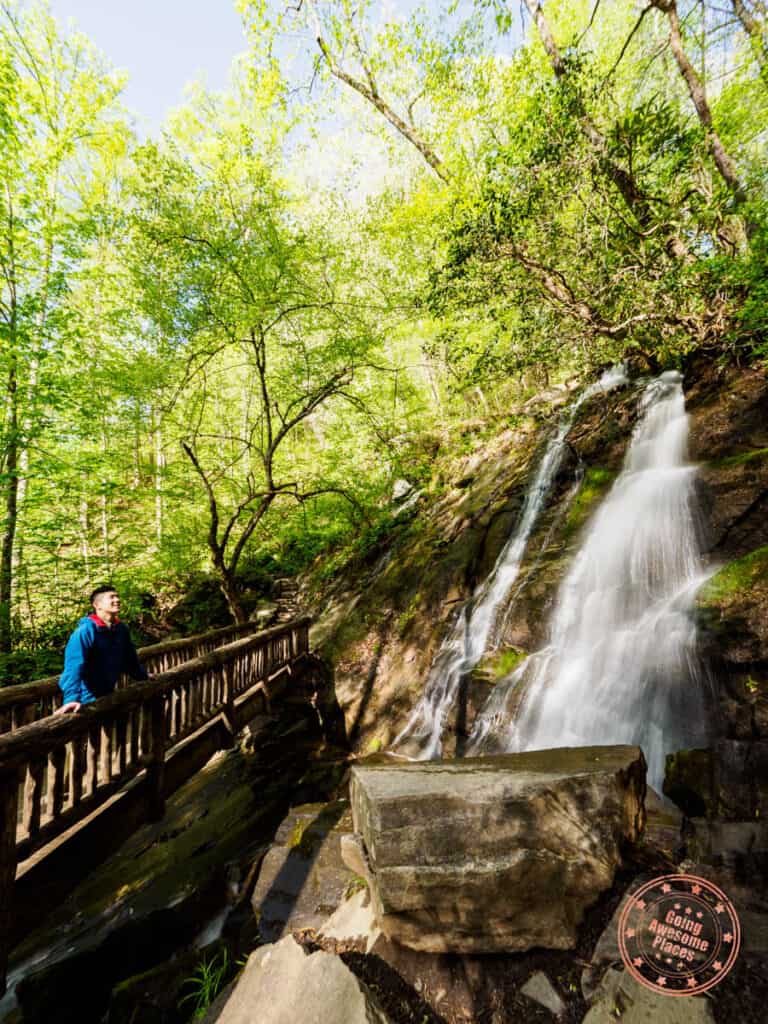 juney whank waterfall at deep creek in the great smoky mountains