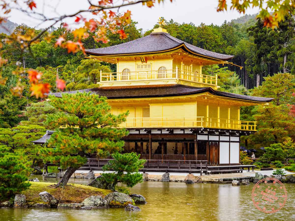 kinkakuji golden pavilion temple in kyoto during the fall season