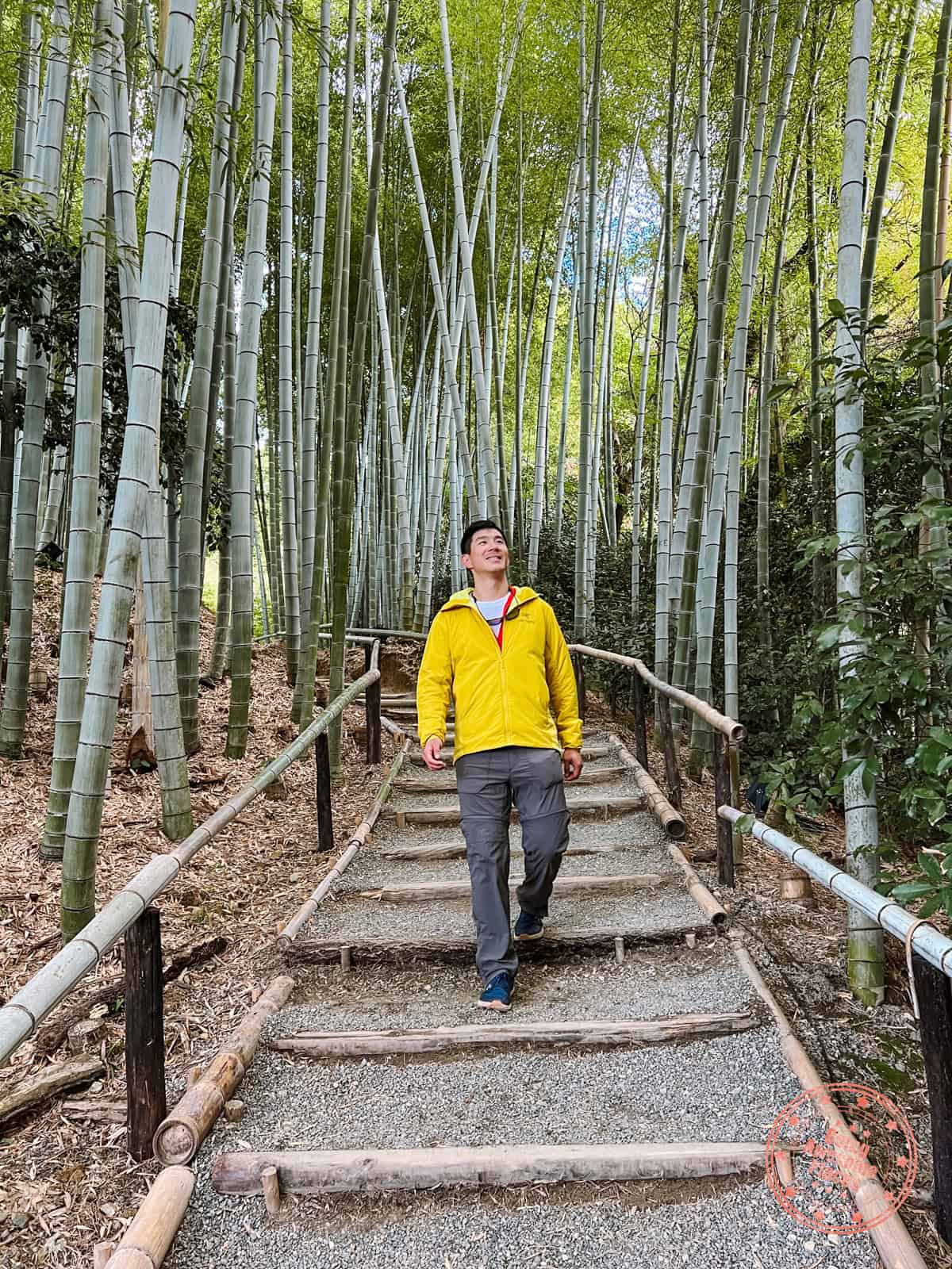 kodaiji temple hidden bamboo forest path