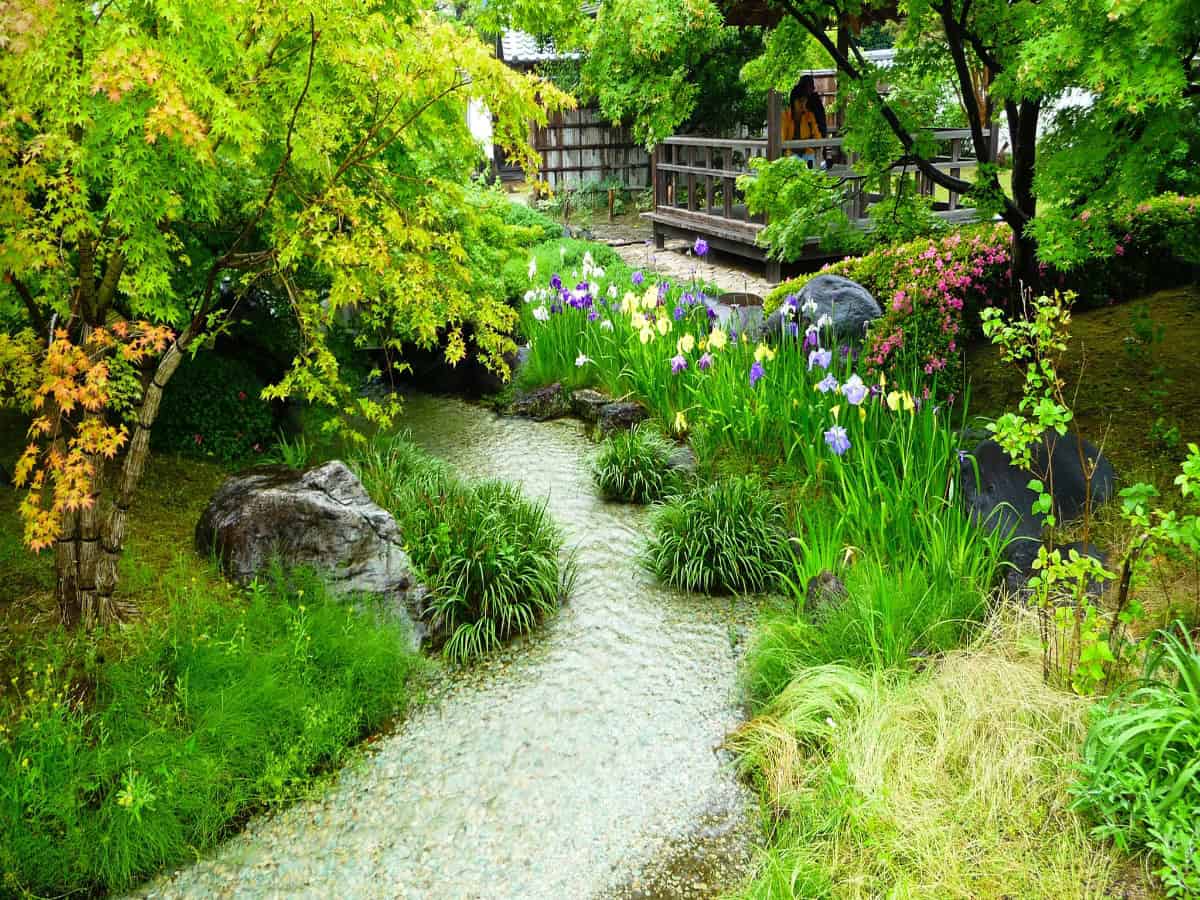 small stream running through korakuen landscape garden