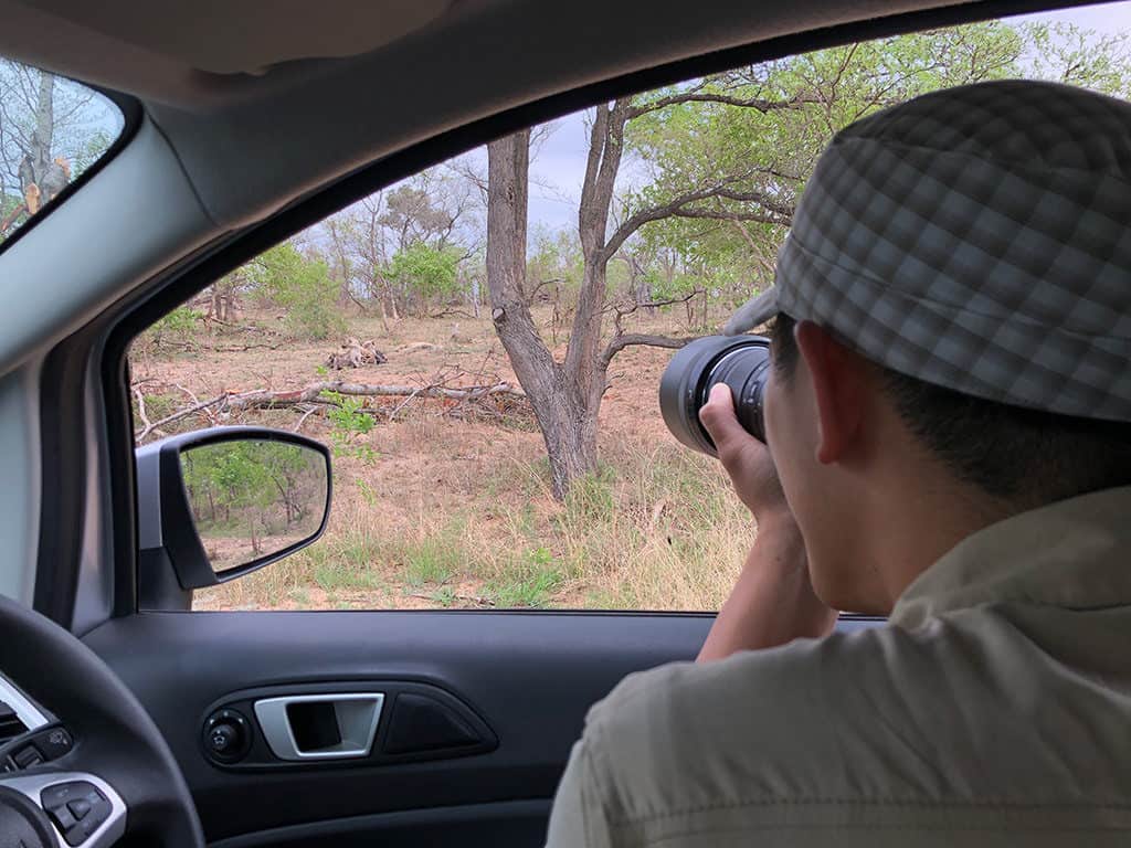 kruger national park photography from the car in south africa travel tips