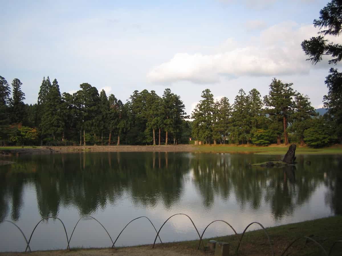 pretty lake surrounded by trees in tohoku
